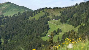 Veranstaltung_Einzelseite_Slider