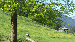 Veranstaltung_Einzelseite_Slider