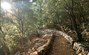3-trekn-learn-mallorca