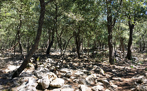 5-trekn-learn-mallorca