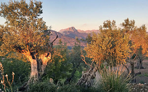 6-trekn-learn-mallorca