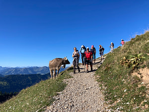 IMG_1282