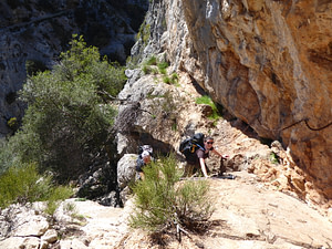 P1020539
